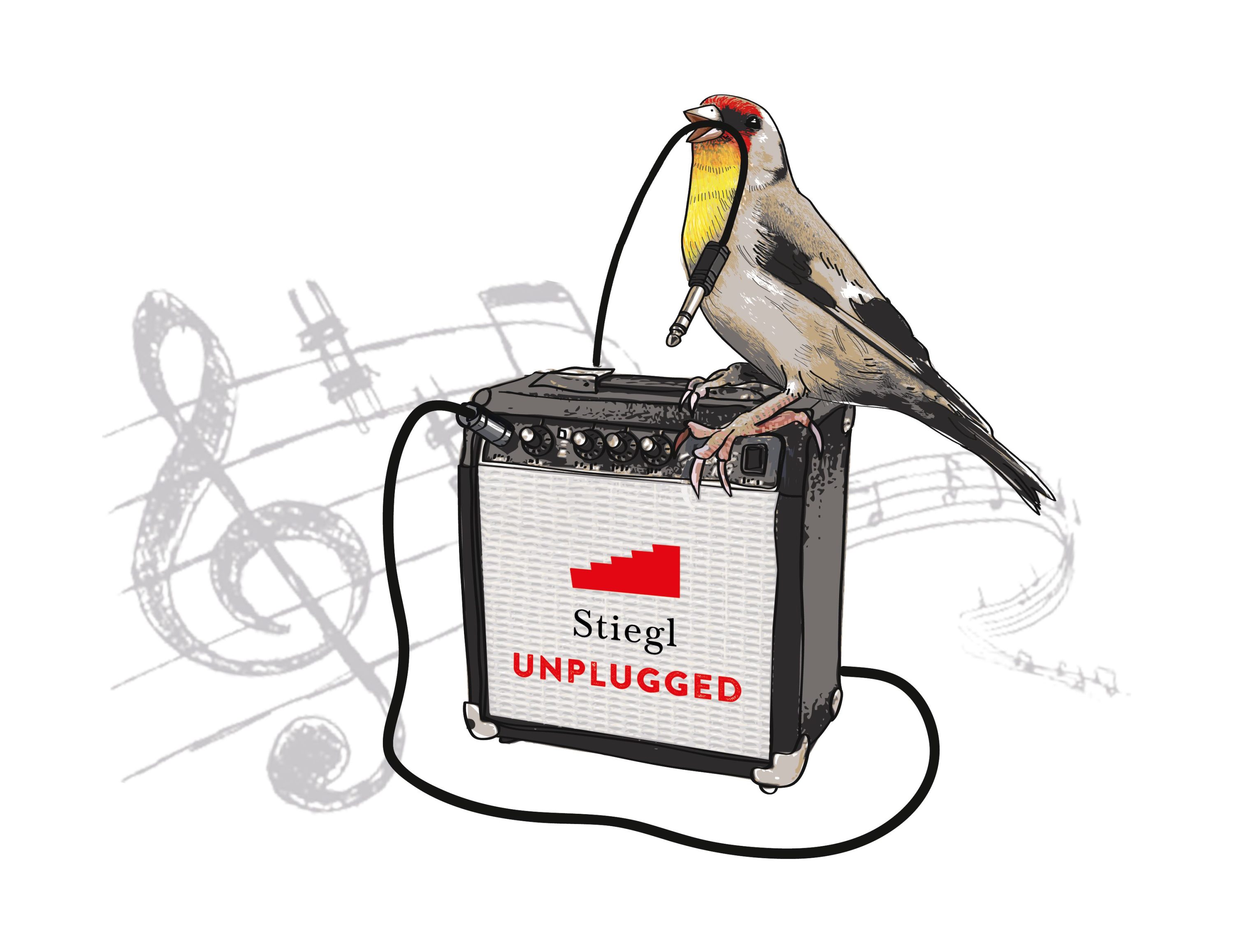 Stiegl Unplugged